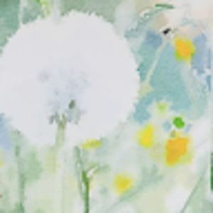 Meet your Posher, Jessi